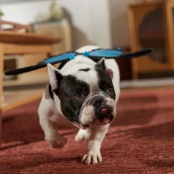 Frisco Magical Butterfly Wings Dog & Cat Costume Accessory -Frisco Shop 713062 PT7. AC SS1800 V1689354962