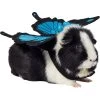 Frisco Small Pet Butterfly Wings