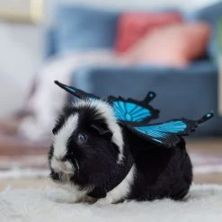 Frisco Small Pet Butterfly Wings 12 Frisco Small Pet Butterfly Wings -Frisco Shop 714406 PT7. AC SS1800 V1688584657