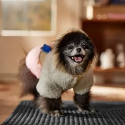 Frisco Colorblock Fleece Dog & Cat Hoodie W/ Pocket -Frisco Shop 718278 PT7. AC SS1800 V1692375977