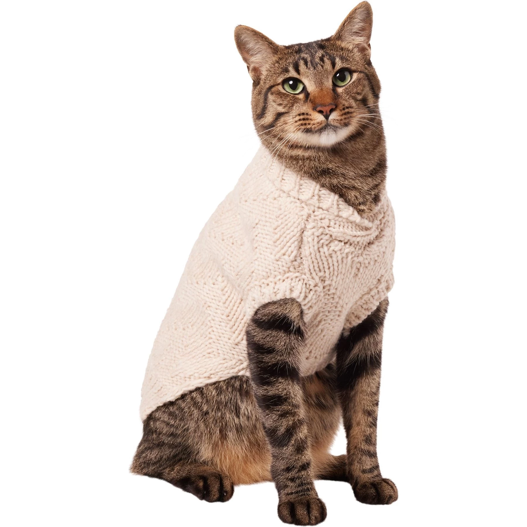 Frisco Sherpa Lined Chunky Cable Knit Dog & Cat Sweater 1 Frisco Sherpa Lined Chunky Cable Knit Dog & Cat Sweater