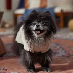 Frisco Sherpa Lined Chunky Cable Knit Dog & Cat Sweater 14 Frisco Sherpa Lined Chunky Cable Knit Dog & Cat Sweater -Frisco Shop 718518 PT7. AC SS1800 V1692378338