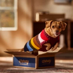 Frisco Chunky Knit Multi-Stripe Dog & Cat Sweater -Frisco Shop 718662 PT7. AC SS1800 V1692378219
