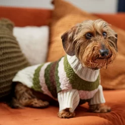 Frisco Bubble Knit Multi Striped Mock Neck Dog & Cat Sweater 14 Frisco Bubble Knit Multi Striped Mock Neck Dog & Cat Sweater -Frisco Shop 718854 PT7. AC SS1800 V1692378688