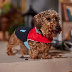 Frisco Medium Weight Retro Colorblock Mixed Media Dog & Cat Coat -Frisco Shop 719462 PT7. AC SS1800 V1692379031