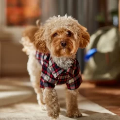 Frisco Red & Blue Plaid Dog & Cat Flannel Shirt -Frisco Shop 720838 PT7. AC SS1800 V1693400998