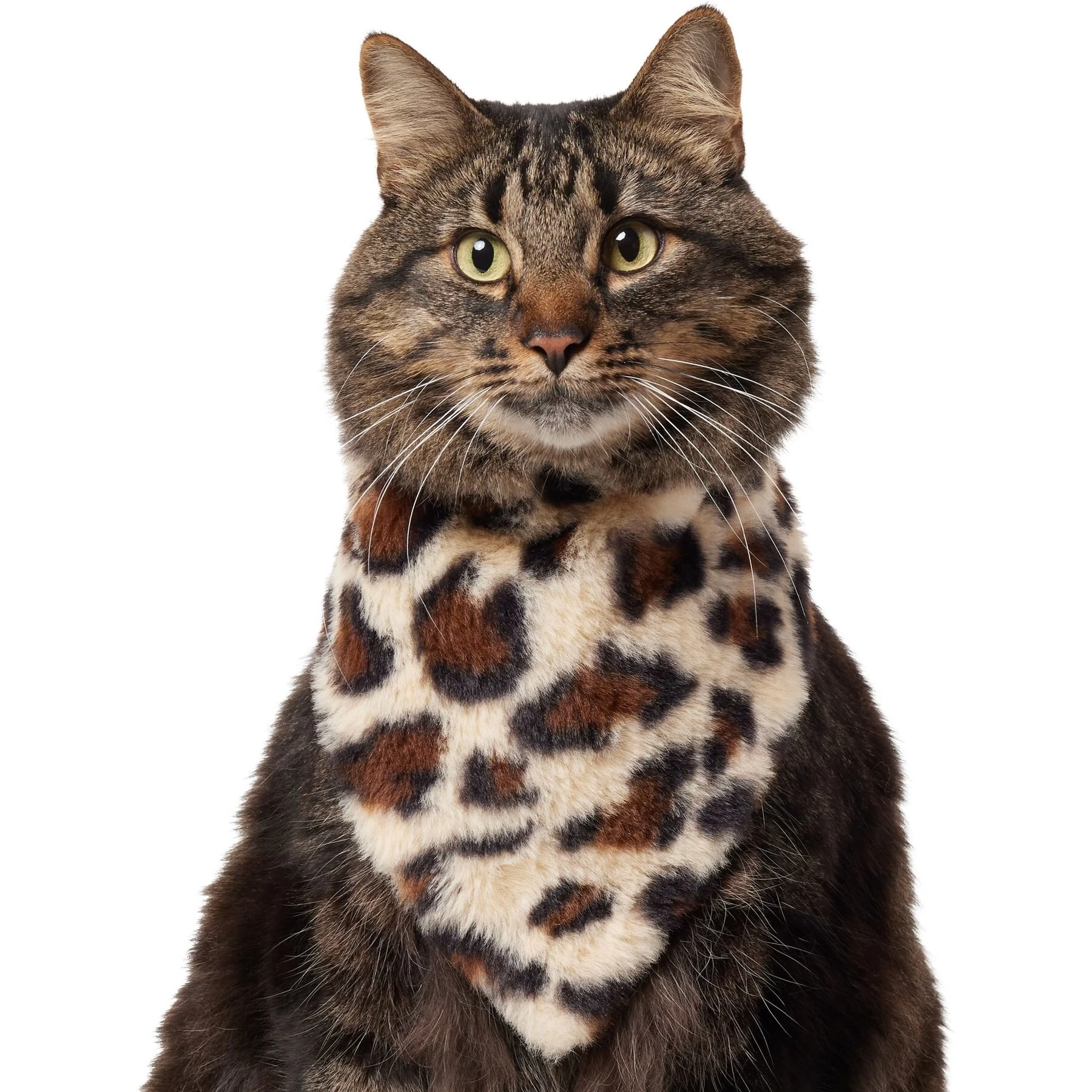Frisco Leopard Faux Fur Dog & Cat Bandana 1 Frisco Leopard Faux Fur Dog & Cat Bandana