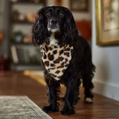 Frisco Leopard Faux Fur Dog & Cat Bandana 13 Frisco Leopard Faux Fur Dog & Cat Bandana -Frisco Shop 733894 PT6. AC SS1800 V1692378099