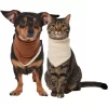 Frisco Reversible Cozy Knit Faux Fur Dog & Cat Pullover Bandana