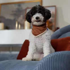 Frisco Reversible Cozy Knit Faux Fur Dog & Cat Pullover Bandana -Frisco Shop 733918 PT6. AC SS1800 V1692378160