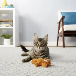 Hartz Delectables Squeeze Up Variety Pack Lickable Cat Treats & Frisco Squirrel Plush Cat Toy With Refillable Catnip -Frisco Shop 737422 PT7. AC SS1800 V1670877670