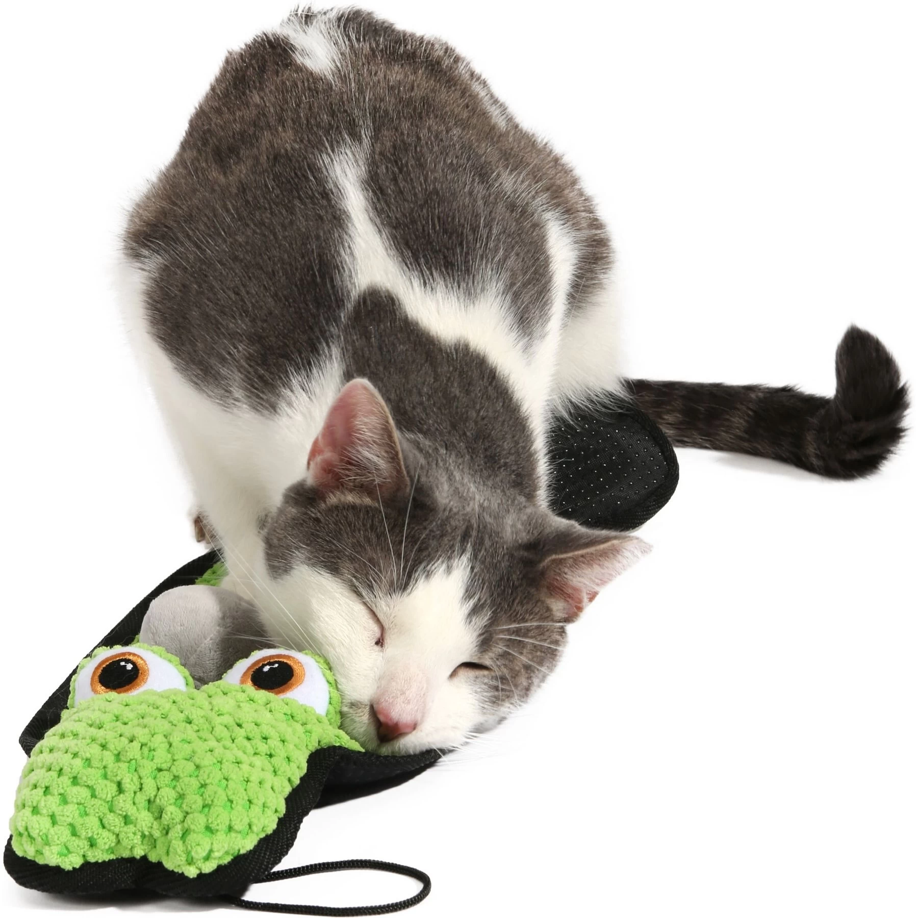 Frisco Natural Catnip & Hartz Cattraction Silver Vine & Catnip Gator Cat Scratcher Toy, Color Varies 9 Frisco Natural Catnip & Hartz Cattraction Silver Vine & Catnip Gator Cat Scratcher Toy, Color Varies - Image 9