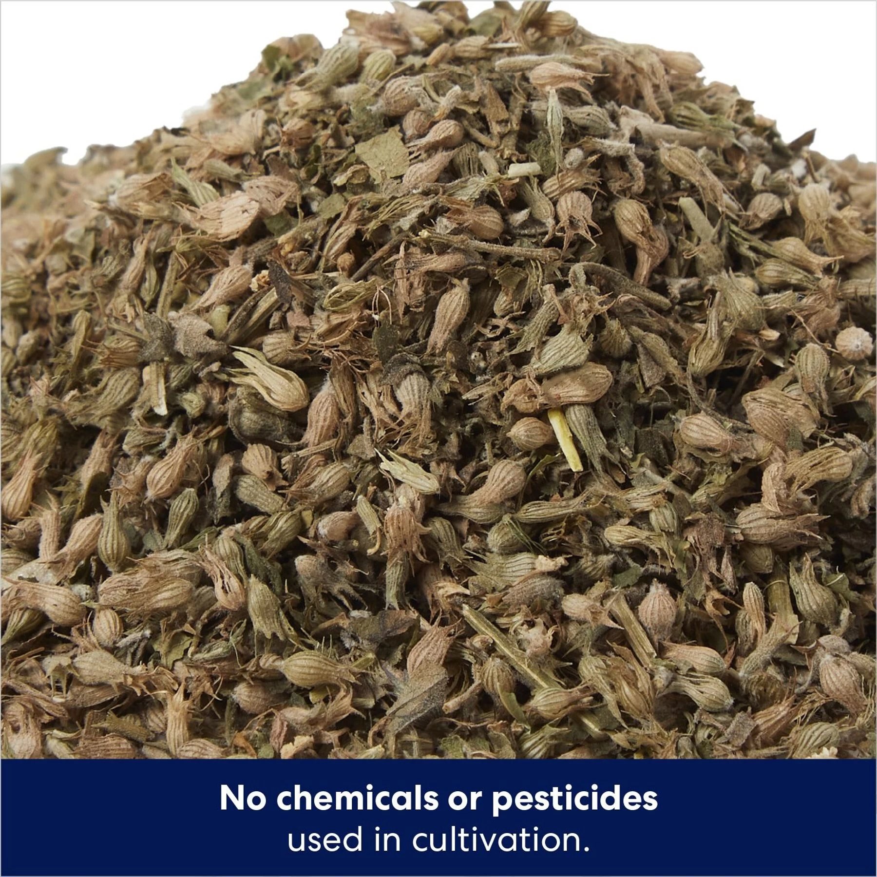 Frisco Natural Catnip & Hartz Just For Cats Mini Mice Cat Toy With Catnip, 5 Count 4 Frisco Natural Catnip & Hartz Just For Cats Mini Mice Cat Toy With Catnip, 5 Count - Image 4