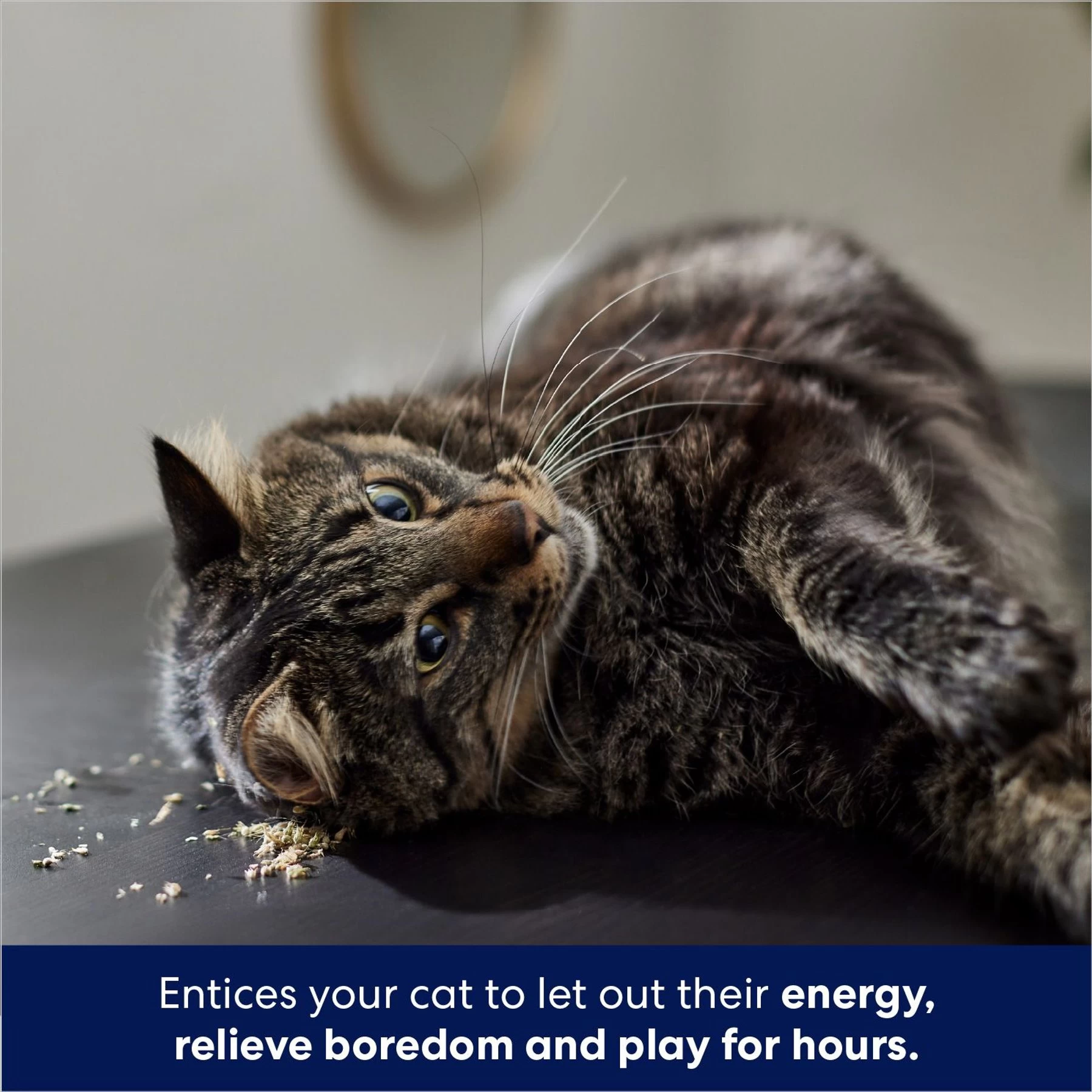 Frisco Natural Catnip & Hartz Just For Cats Mini Mice Cat Toy With Catnip, 5 Count 5 Frisco Natural Catnip & Hartz Just For Cats Mini Mice Cat Toy With Catnip, 5 Count - Image 5