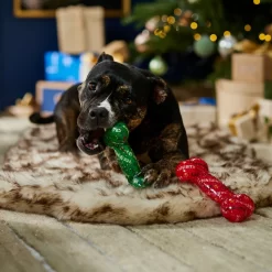 Frisco Holiday Naughty & Nice TPR Bone Squeaky Dog Toy 7 Frisco Holiday Naughty & Nice TPR Bone Squeaky Dog Toy -Frisco Shop 739702 PT3. AC SS1800 V1694812786