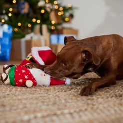 Frisco Holiday Santa On Vacation 2-in-1 Plush Squeaky Dog Toy -Frisco Shop 739894 PT3. AC SS1800 V1695045718