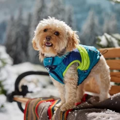 Frisco Heavy Weight Urban City Colorblock Dog & Cat Parka With Sherpa Lining 14 Frisco Heavy Weight Urban City Colorblock Dog & Cat Parka With Sherpa Lining -Frisco Shop 742262 PT7. AC SS1800 V1692378161