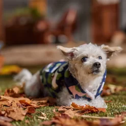 Frisco Medium Weight Urban City Camo Printed Dog & Cat Hooded Coat -Frisco Shop 742358 PT7. AC SS1800 V1692376368