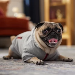 Frisco Sweatshirt Fleece Dog & Cat Hoodie With Sherpa Lining 16 Frisco Sweatshirt Fleece Dog & Cat Hoodie With Sherpa Lining -Frisco Shop 742550 PT7. AC SS1800 V1692378690