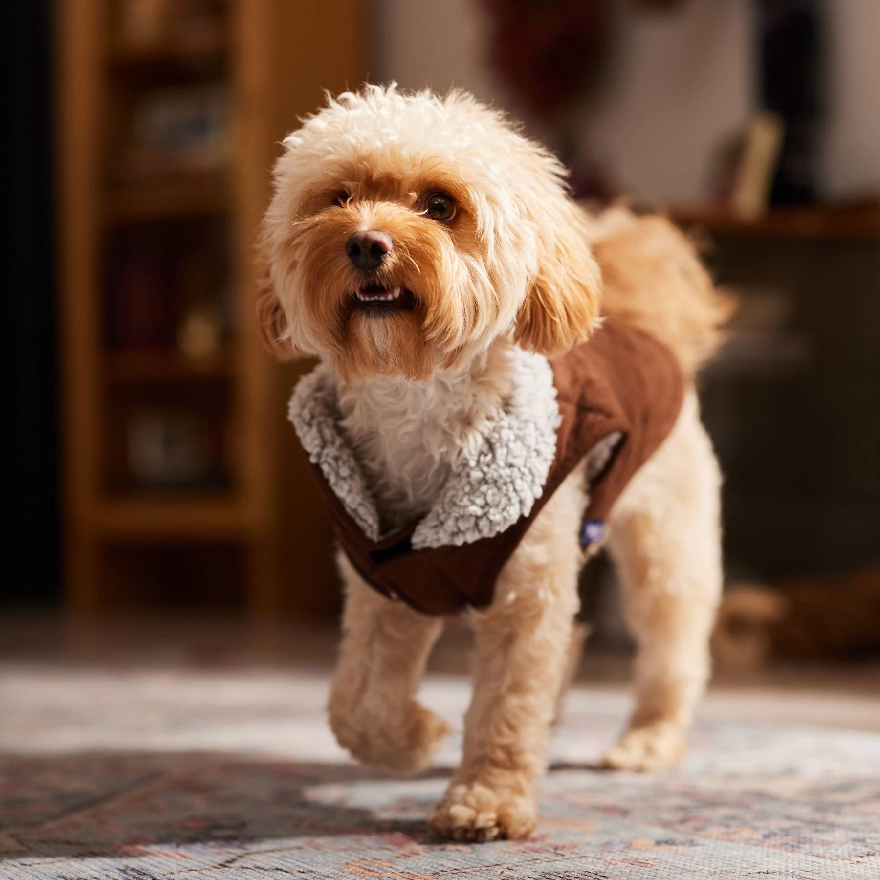 Frisco Medium Weight Quilted Dog & Cat Coat With Cozy Sherpa Lining 8 Frisco Medium Weight Quilted Dog & Cat Coat With Cozy Sherpa Lining - Image 8