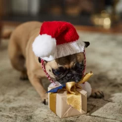 Frisco Chunky Knit Santa Dog & Cat Hat -Frisco Shop 744878 PT5. AC SS1800 V1694793814