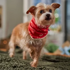 Frisco Reversible Candy Cane Cozy Knit Faux Fur Dog & Cat Pullover Bandana, 1 Count -Frisco Shop 745294 PT6. AC SS1800 V1694794121