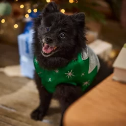 Frisco Ornament Dog & Cat Costume -Frisco Shop 745510 PT7. AC SS1800 V1694795535