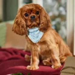 Frisco Reversible Snowflake Cozy Knit Faux Fur Dog & Cat Pullover Bandana, 1 Count -Frisco Shop 746630 PT6. AC SS1800 V1694799358