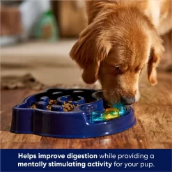 Frisco Interactive Dog Slow Feeder Bowl -Frisco Shop 761238 PT2. AC SS1800 V1696254583
