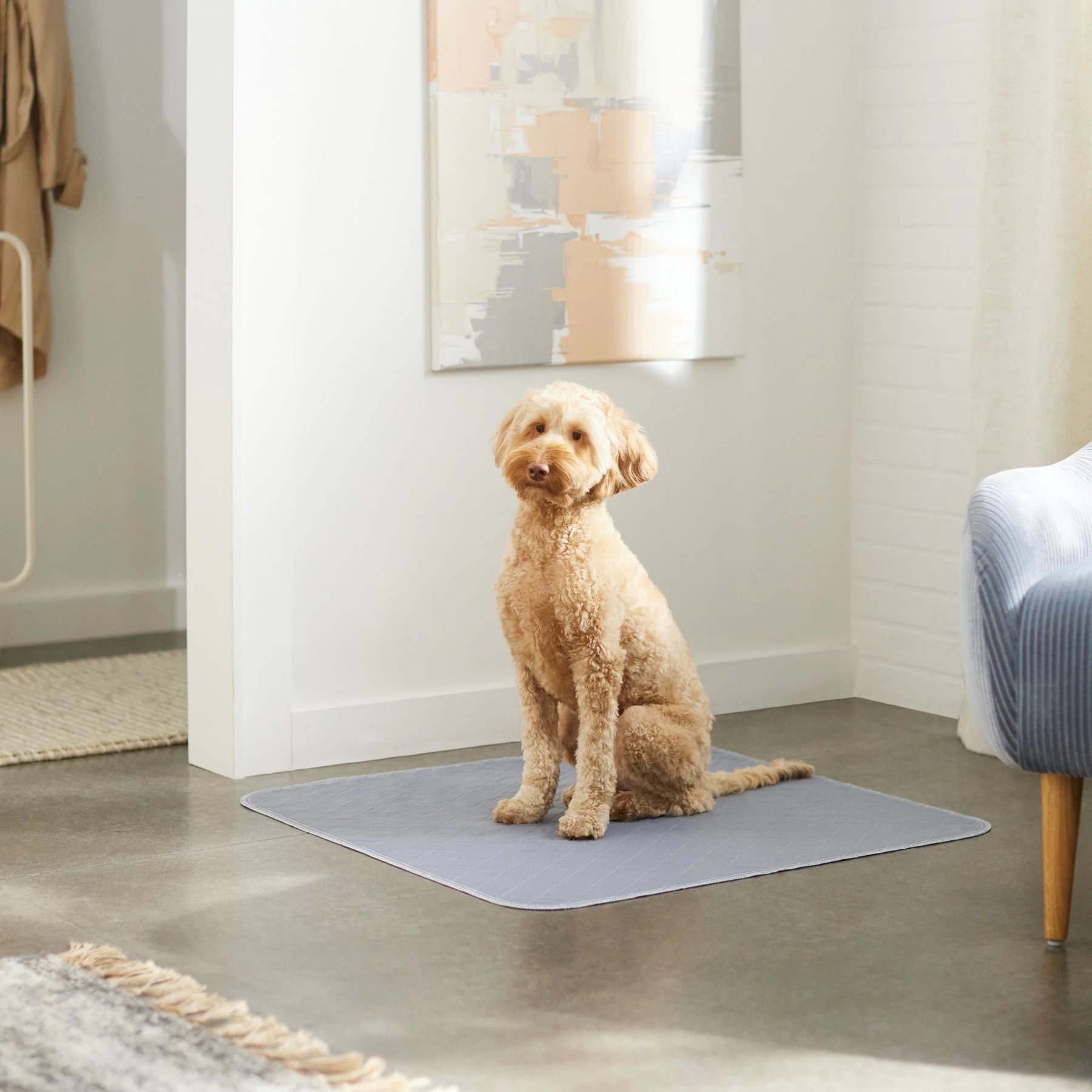 Skout's Honor Dog Pee Pad Refresher Spray, 28-oz Bottle & Frisco Washable Dog Potty Pads 9 Skout's Honor Dog Pee Pad Refresher Spray, 28-oz Bottle & Frisco Washable Dog Potty Pads - Image 9