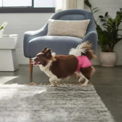 Skout's Honor Laundry Booster Stain & Odor Removal Additive, 32-oz Bottle & Frisco Washable Female Diaper -Frisco Shop 773022 PT8. AC SS1800 V1676749103