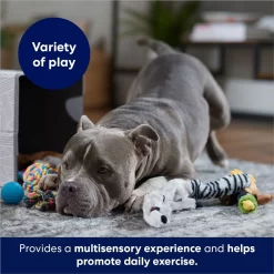 Frisco Forest Friends Plush, Rope & TPR Variety Pack Dog Toy -Frisco Shop 843534 PT3. AC SS1800 V1693411070