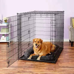 Frisco Heavy Duty Enhanced Lock Double Door Fold & Carry Wire Dog Crate & Mat Kit & MidWest Quiet Time Fleece Dog Crate Mat -Frisco Shop 947398 PT8. AC SS1800 V1693920163