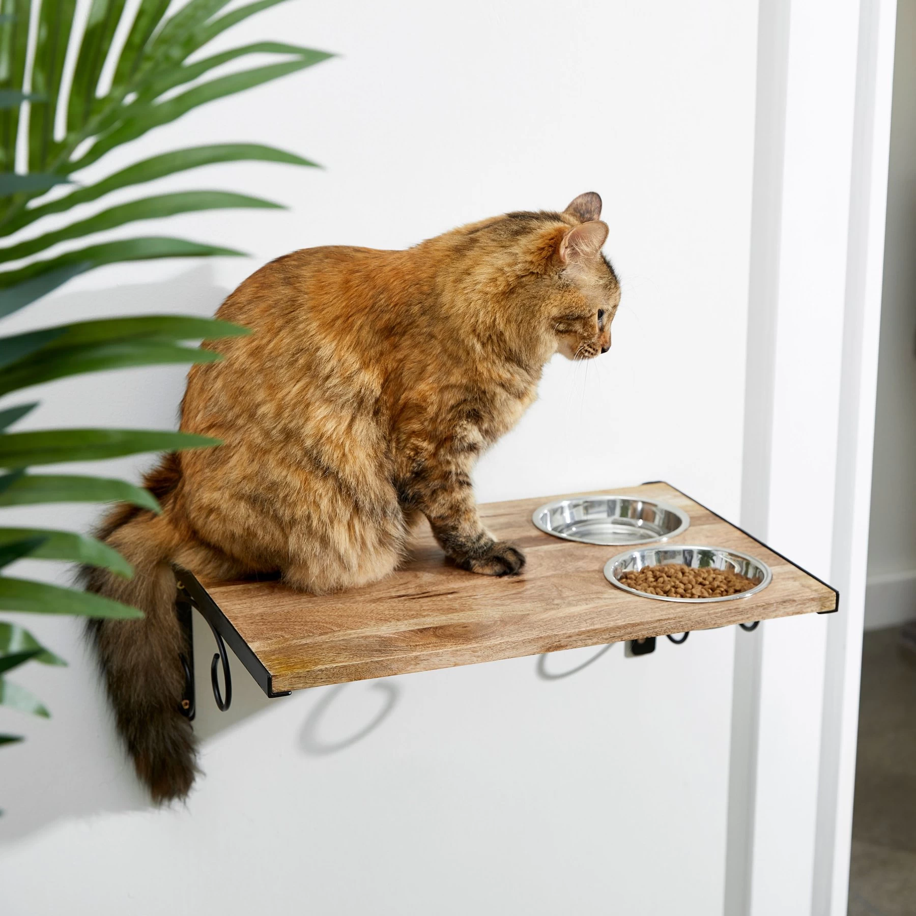 Coziwow Wall Mounted Shelves Set Cat Tree & Frisco Wooden Wall Mounted Stainless Steel Cat Feeding Station With Bowl 9 Coziwow Wall Mounted Shelves Set Cat Tree & Frisco Wooden Wall Mounted Stainless Steel Cat Feeding Station With Bowl - Image 9