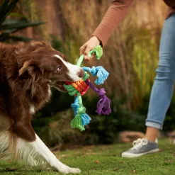 Frisco Fetch Colorful Ball Knot Rope Dog Toy & Frisco Monkey Plush With Rope Squeaky Dog Toy -Frisco Shop 962014 PT2. AC SS1800 V1694784008