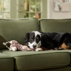 Frisco Fetch Colorful Ball Knot Rope Dog Toy & Frisco Monkey Plush With Rope Squeaky Dog Toy -Frisco Shop 962014 PT7. AC SS1800 V1694784007