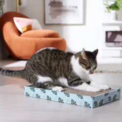 Frisco Double-Wide Cat Scratcher Toy With Catnip & Frisco Double-Wide Cat Scratcher Toy Refill With Catnip, 2 Count -Frisco Shop 962110 PT3. AC SS1800 V1694782923