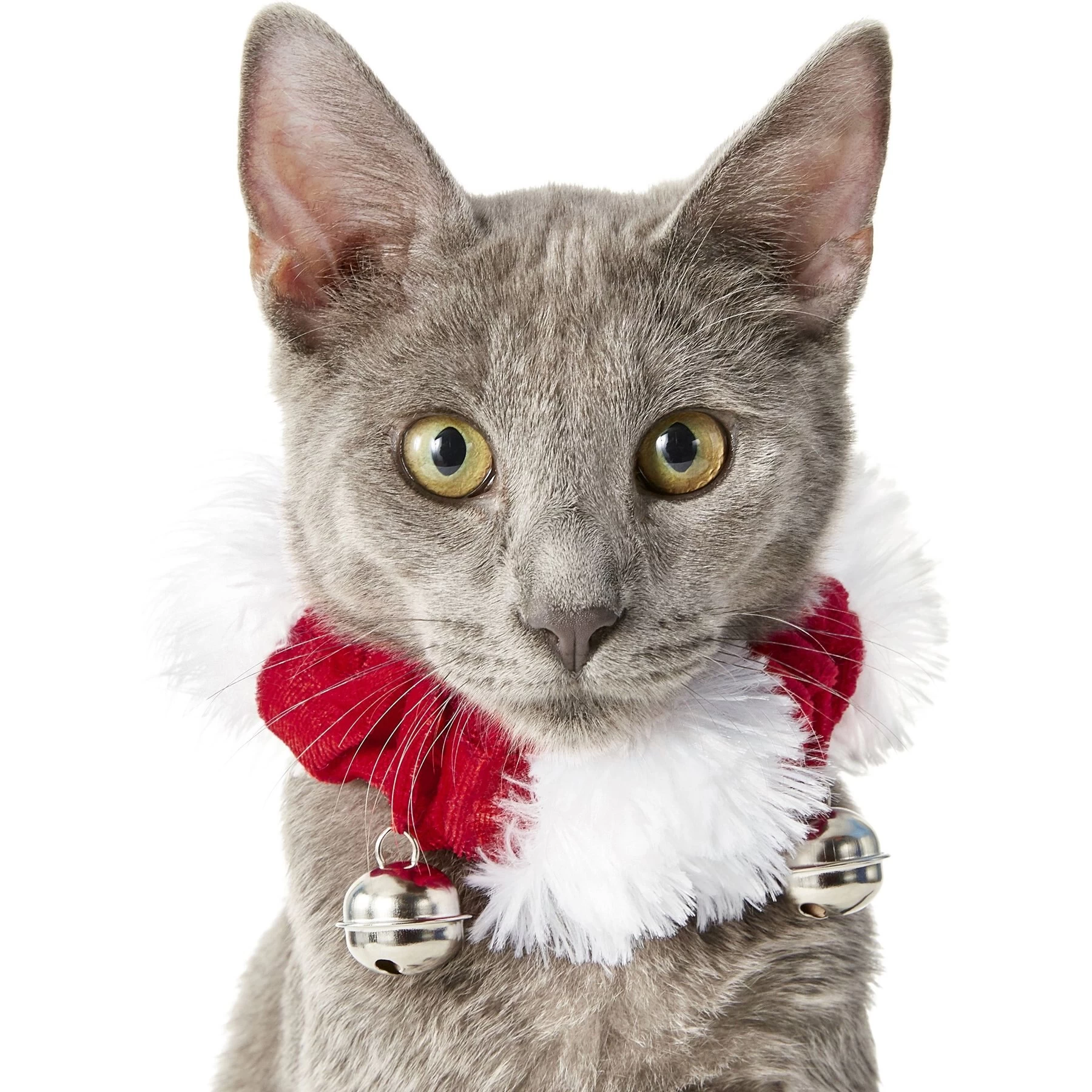 Frisco Jingle Bells Dog & Cat Holiday Collar With Bells, 1 Count & Frisco Holiday Antler Headband & Bell Collar Dog & Cat Costume 3 Frisco Jingle Bells Dog & Cat Holiday Collar With Bells, 1 Count & Frisco Holiday Antler Headband & Bell Collar Dog & Cat Costume - Image 3