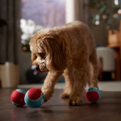 Frisco Holiday Ho Ho Ho Fetch Squeaky Tennis Ball Dog Toy & Frisco Holiday Arctic Friends Stuffing-Free Skinny Plush Squeaky Dog Toy -Frisco Shop 986310 PT4. AC SS1800 V1698257790