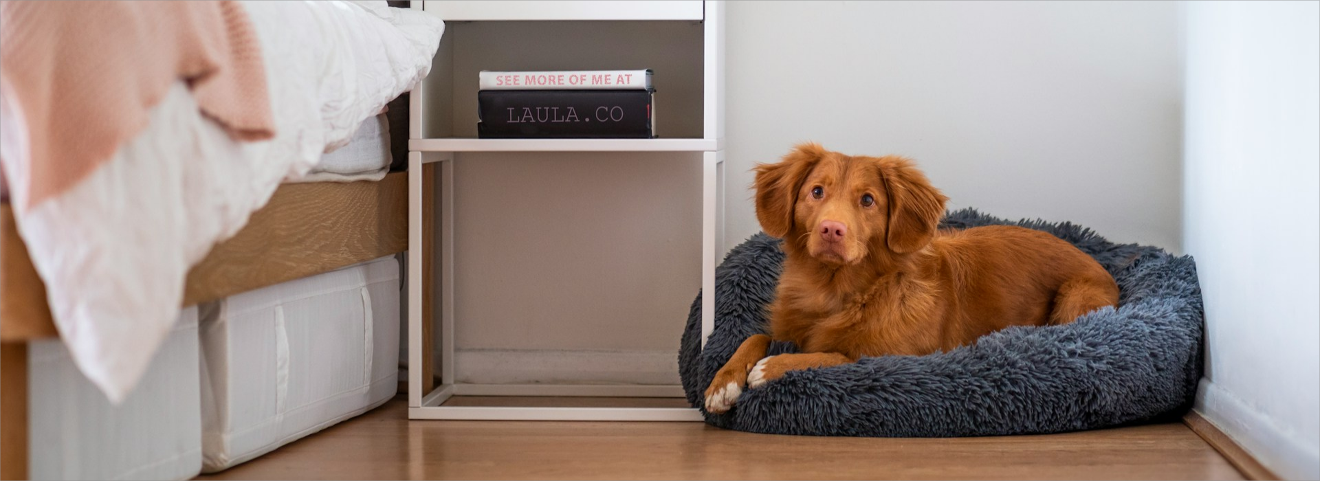 Frisco Shop 1 Frisco Shop -Frisco Shop jamie street kyqfZ95P7Ec unsplash1